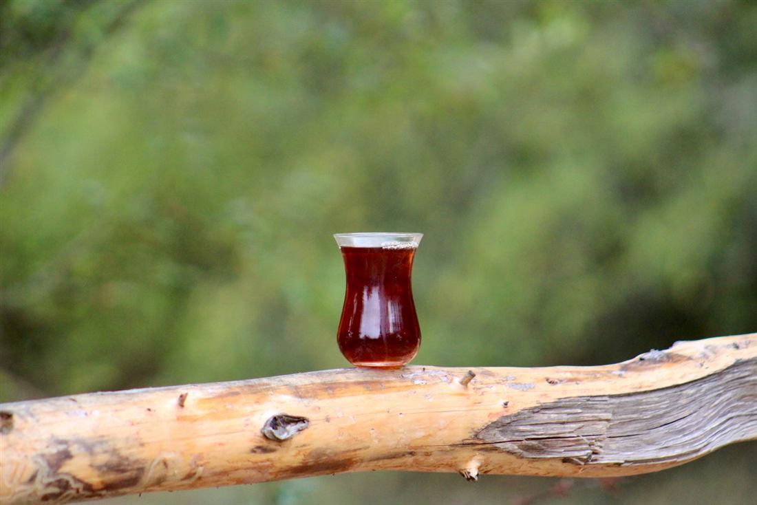 Verre de thé turc posé sur une branche